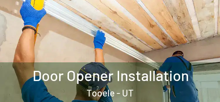 Door Opener Installation Tooele - UT