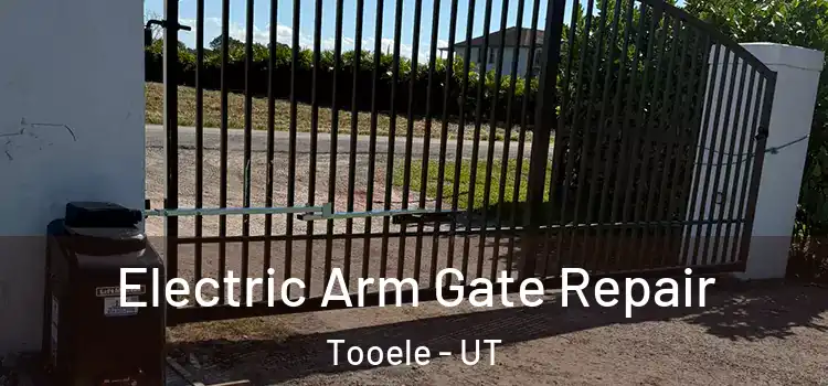 Electric Arm Gate Repair Tooele - UT