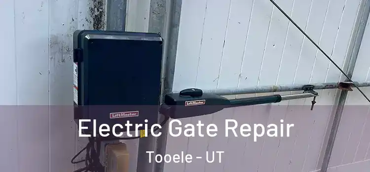 Electric Gate Repair Tooele - UT