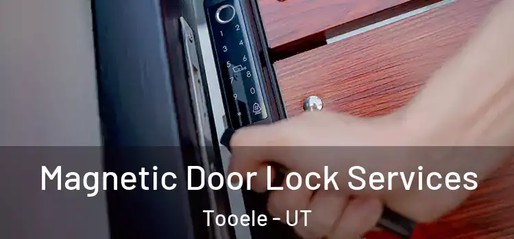 Magnetic Door Lock Services Tooele - UT