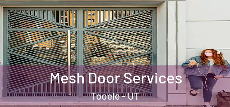 Mesh Door Services Tooele - UT